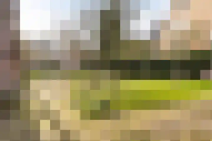 Tuinen 18 Leeuwarden thumbnail 32