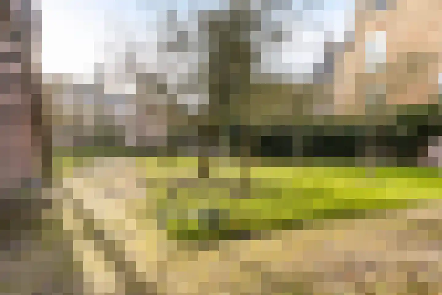 Tuinen 18 Leeuwarden thumbnail 32