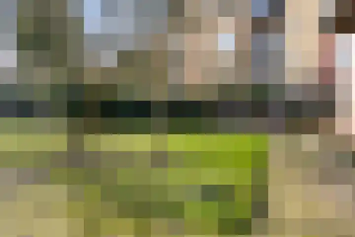 Tuinen 18 Leeuwarden thumbnail 33