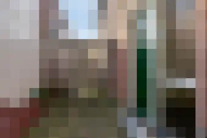 Tuinen 18 Leeuwarden thumbnail 6