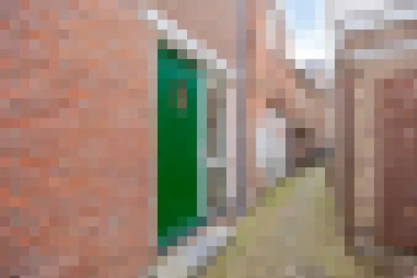 Tuinen 20 Leeuwarden thumbnail 20