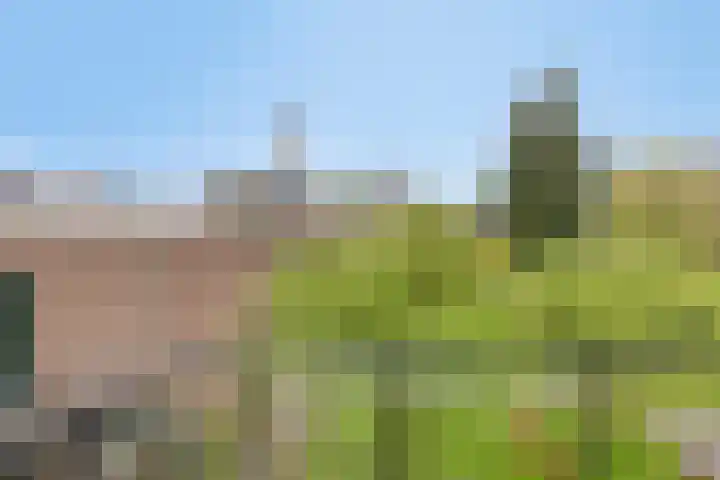 Tuinen 22 Leeuwarden thumbnail 18