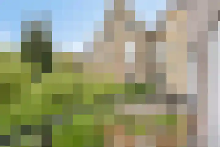 Tuinen 22 Leeuwarden thumbnail 19