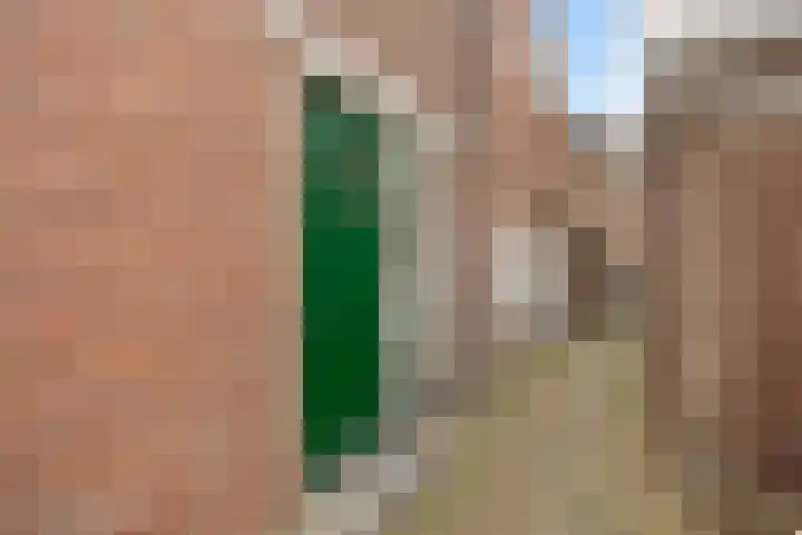 Tuinen 22 Leeuwarden thumbnail 20