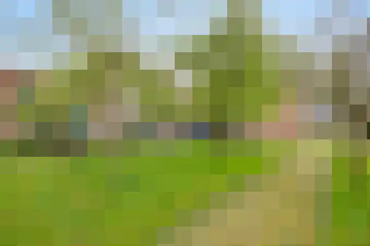 Tuinen 22 Leeuwarden thumbnail 25