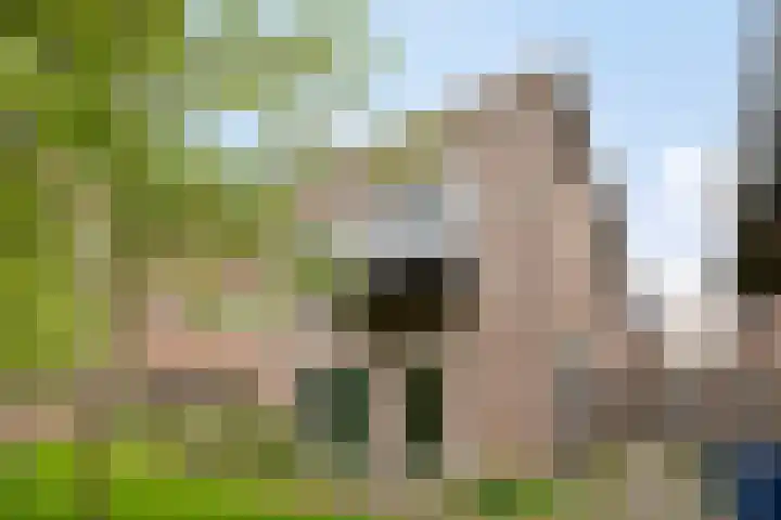 Tuinen 22 Leeuwarden thumbnail 27