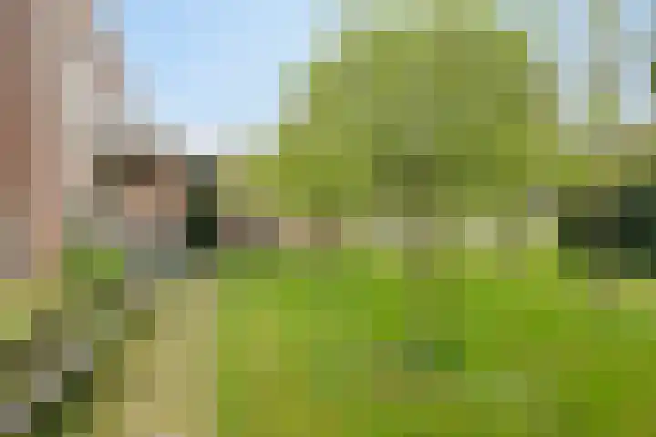 Tuinen 22 Leeuwarden thumbnail 28