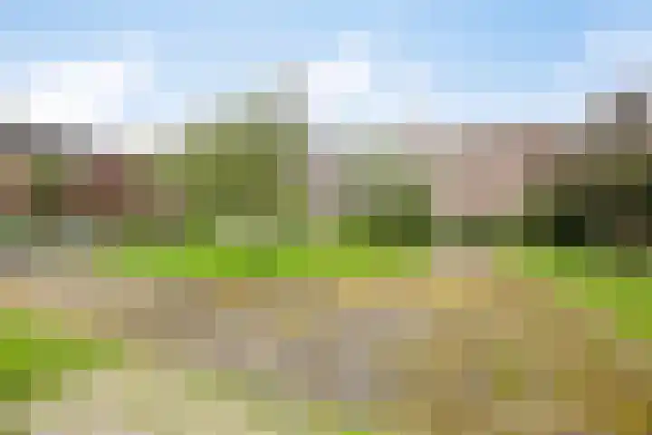 Tuinen 22 Leeuwarden thumbnail 29