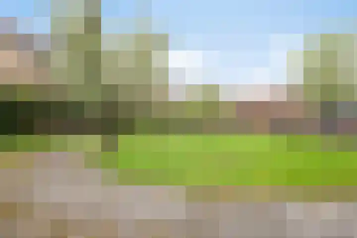 Tuinen 22 Leeuwarden thumbnail 30