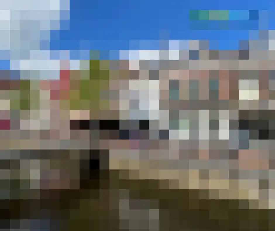 Tuinen Leeuwarden