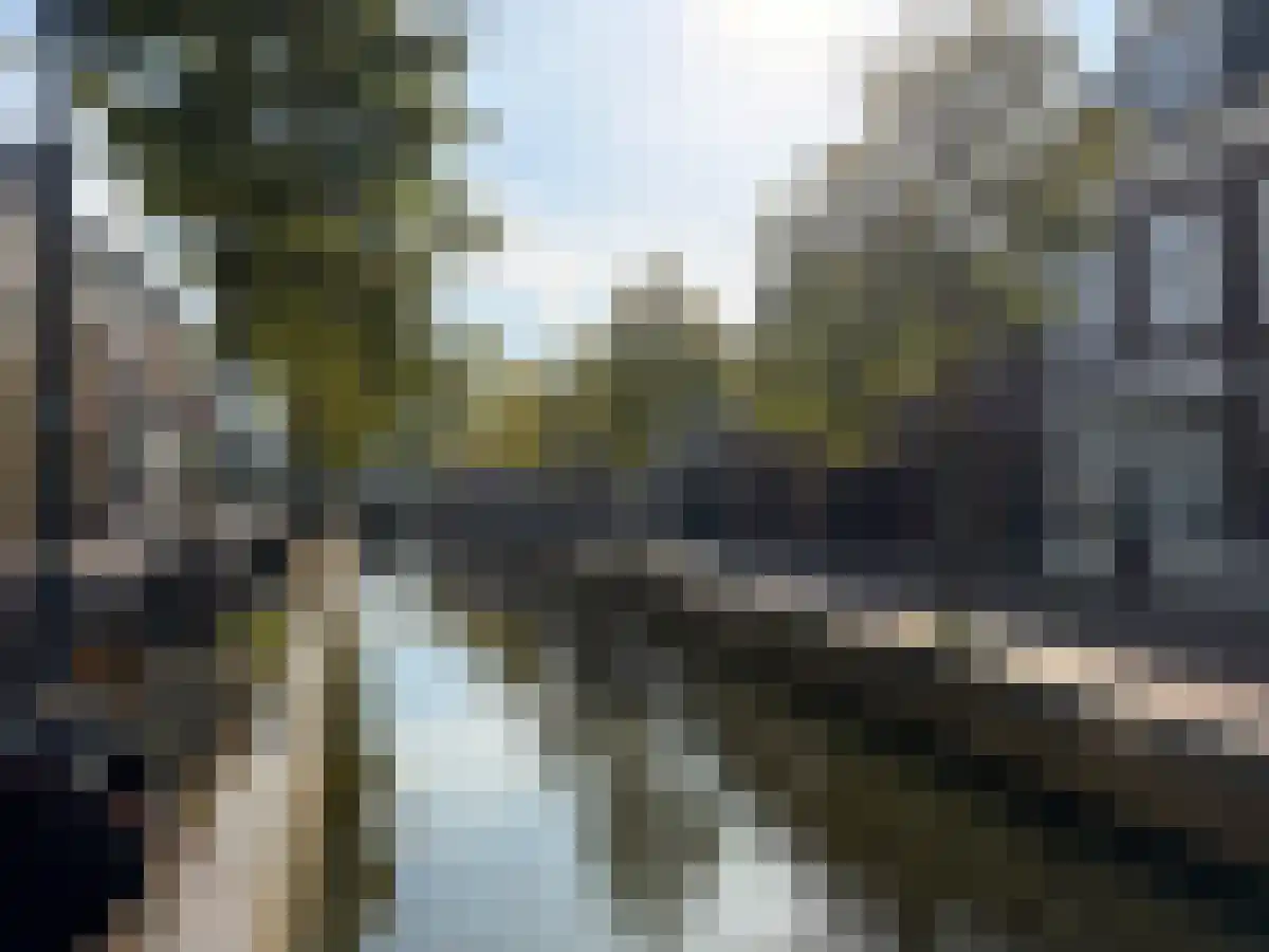 Tuinen Leeuwarden thumbnail 4