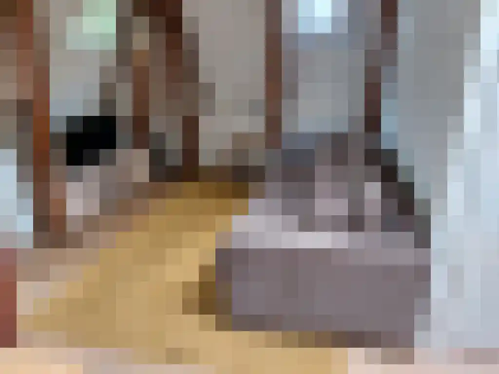 Tuinen Leeuwarden thumbnail 5