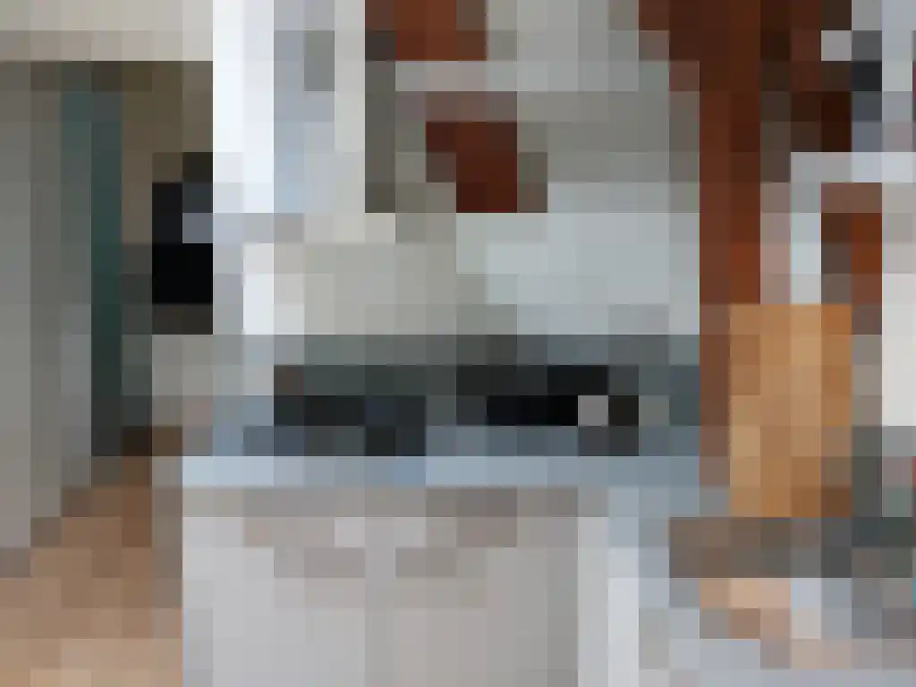 Tuinen Leeuwarden thumbnail 6