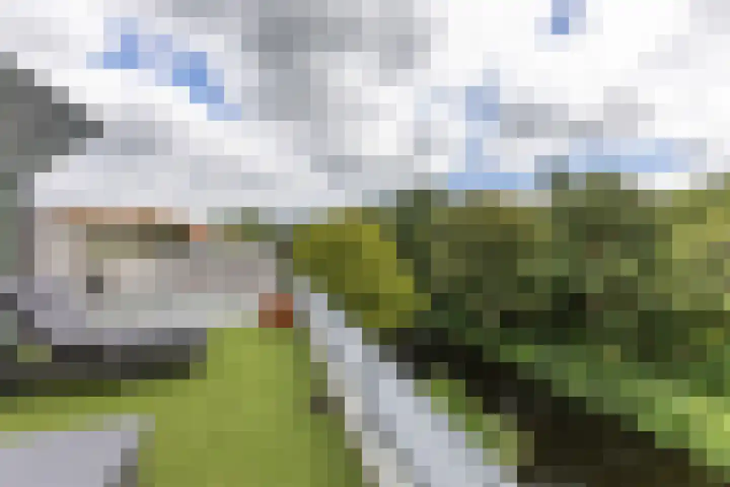Tuinenhof 17 Heiloo thumbnail 28