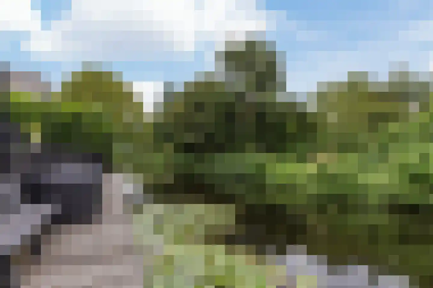 Tuinenhof 17 Heiloo thumbnail 30