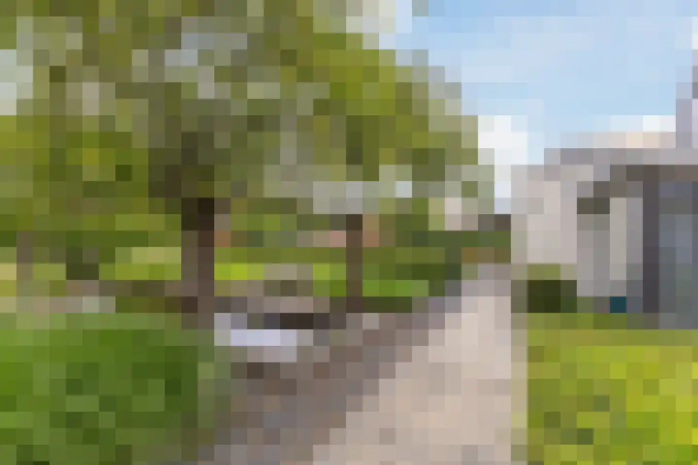 Tuinenhof 17 Heiloo thumbnail 32