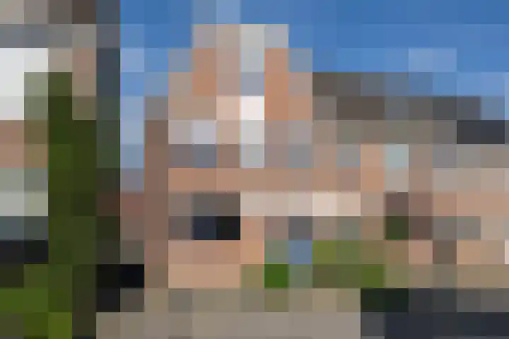 Tuinfluiter 12 en Sommelsdijk