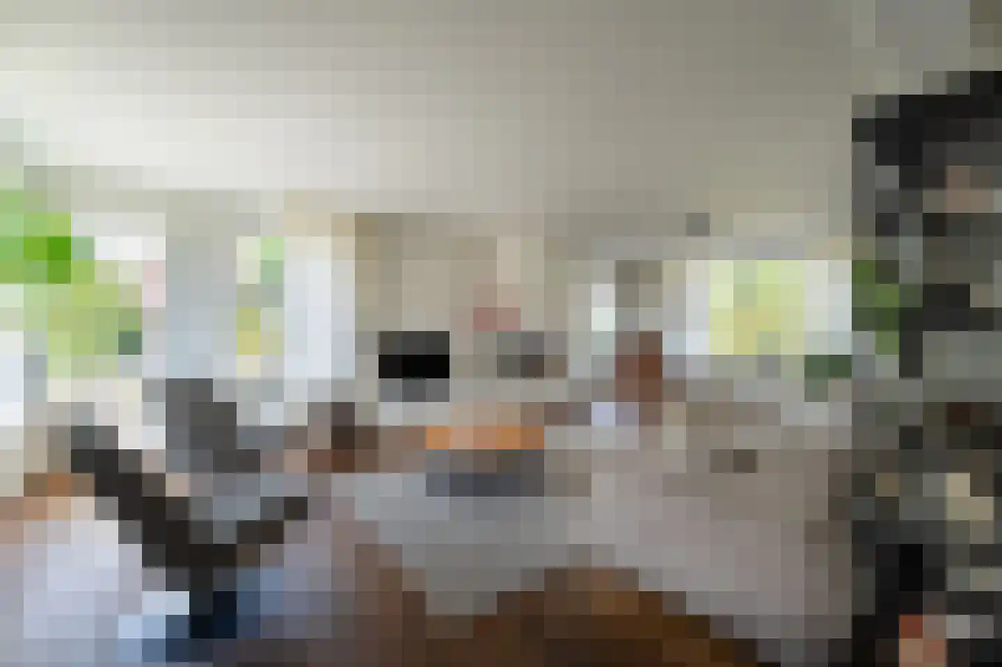 Tuinfluiter 12 IJsselmuiden thumbnail 10