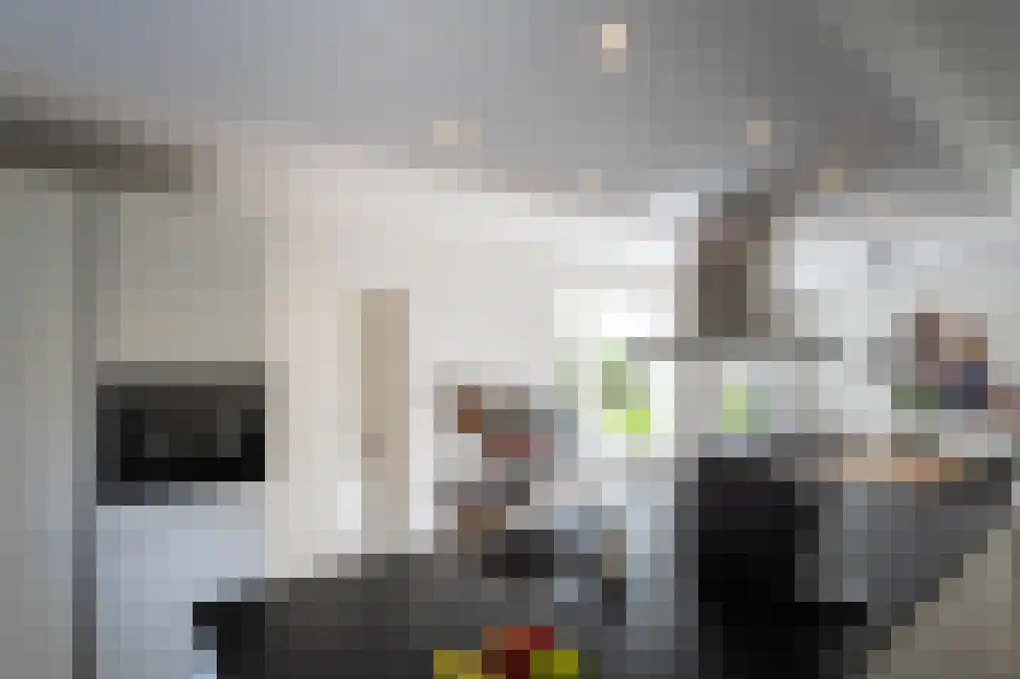 Tuinfluiter 12 IJsselmuiden thumbnail 20