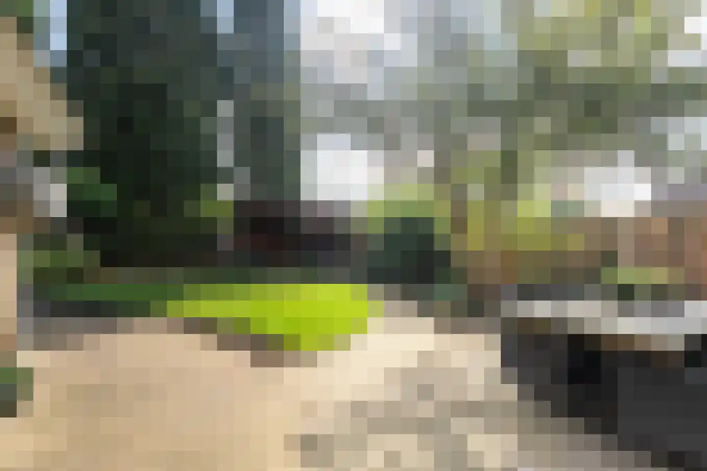 Tuinfluiter 12 IJsselmuiden thumbnail 26