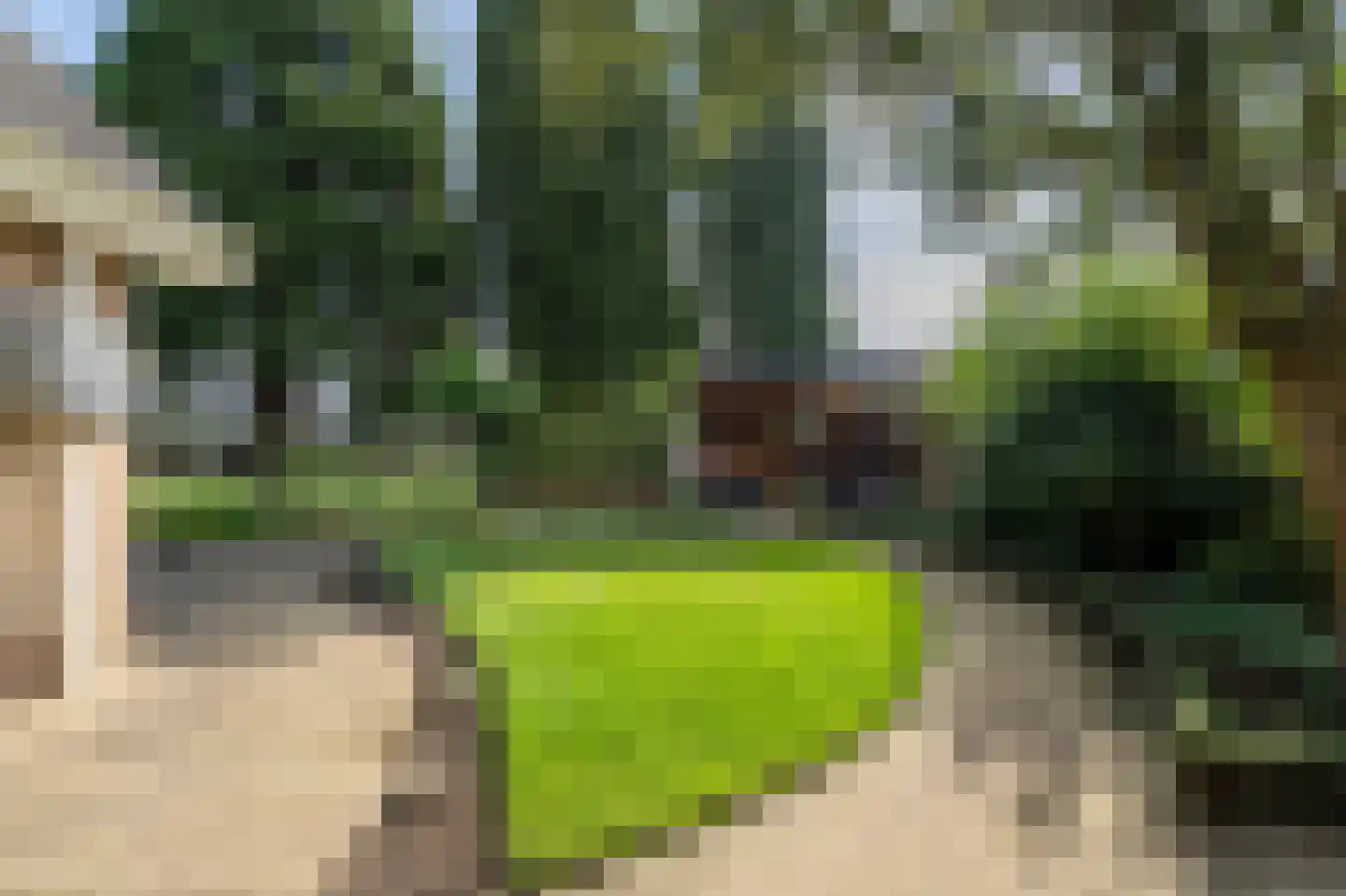 Tuinfluiter 12 IJsselmuiden thumbnail 27