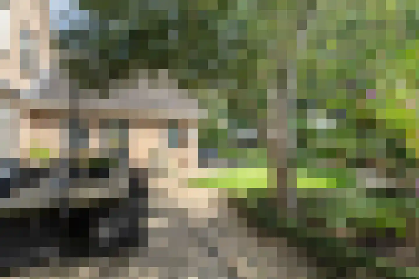 Tuinfluiter 12 IJsselmuiden thumbnail 28