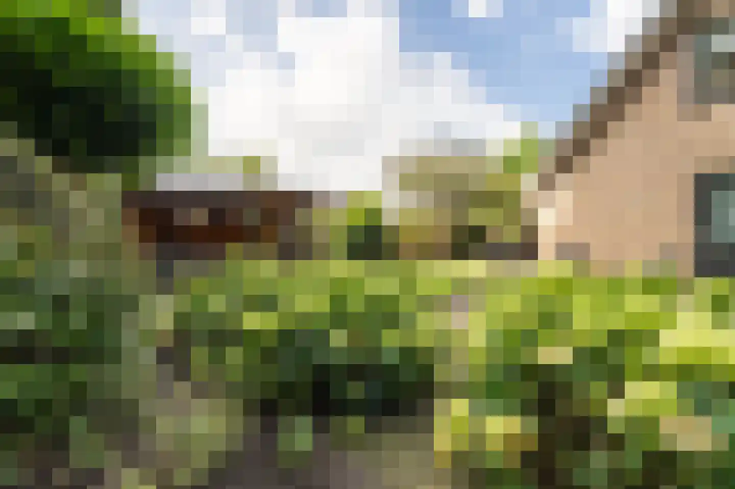 Tuinfluiter 12 IJsselmuiden thumbnail 31