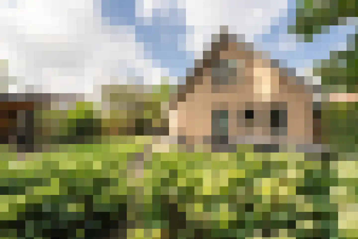 Tuinfluiter 12 IJsselmuiden thumbnail 32