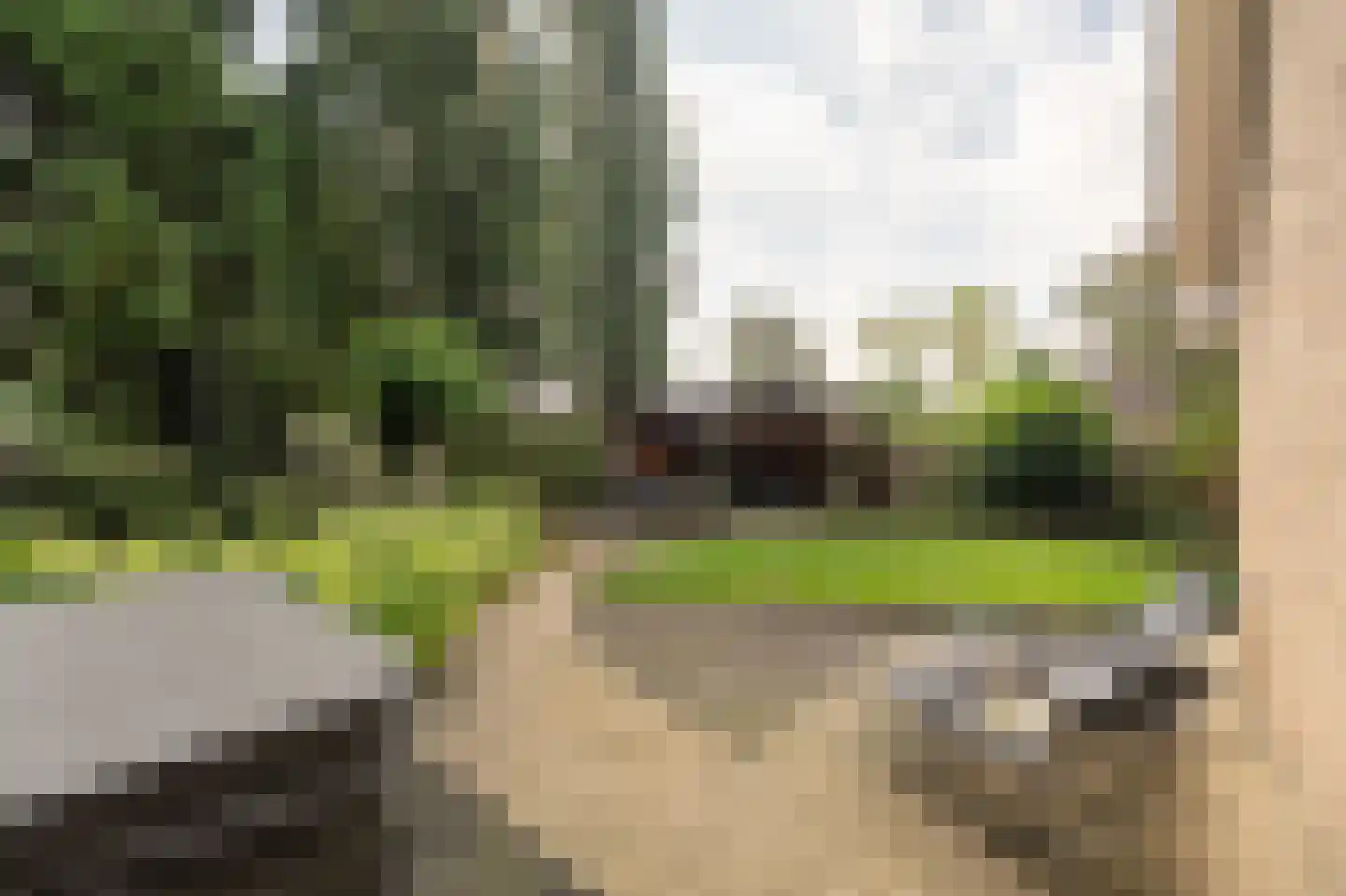 Tuinfluiter 12 IJsselmuiden thumbnail 33