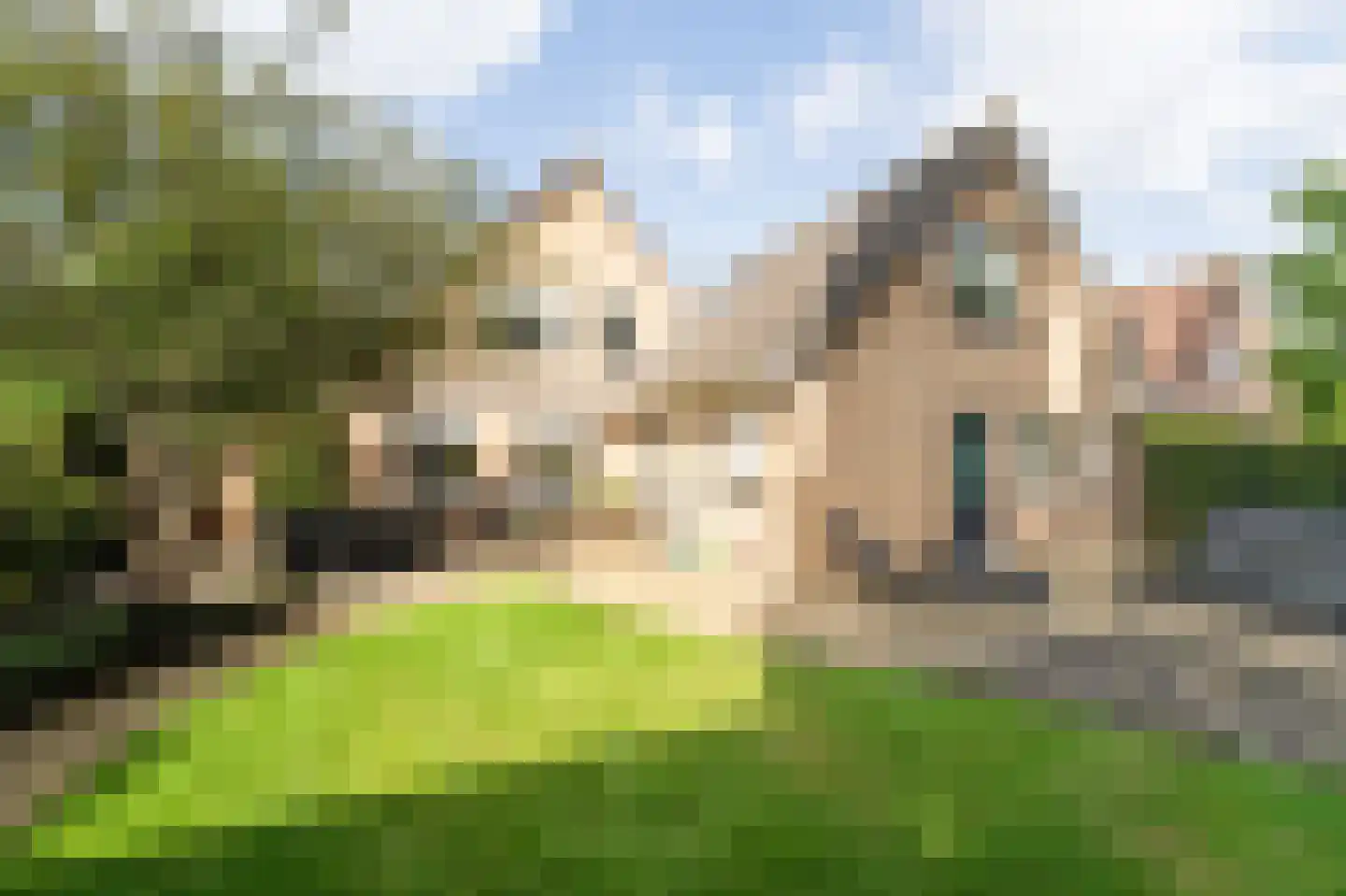 Tuinfluiter 12 IJsselmuiden thumbnail 34