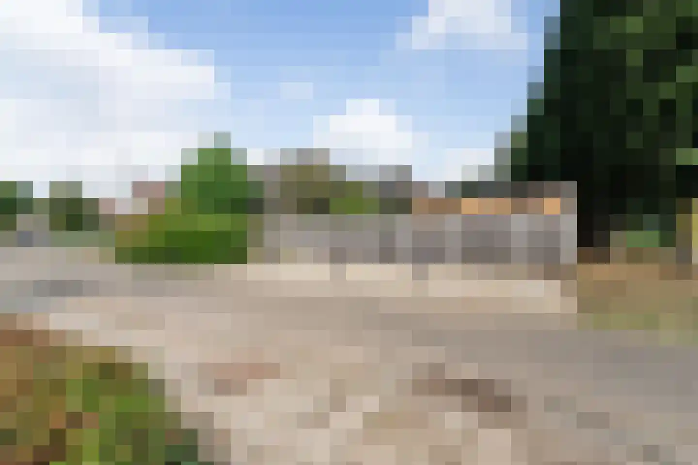 Tuinfluiter 12 IJsselmuiden thumbnail 66