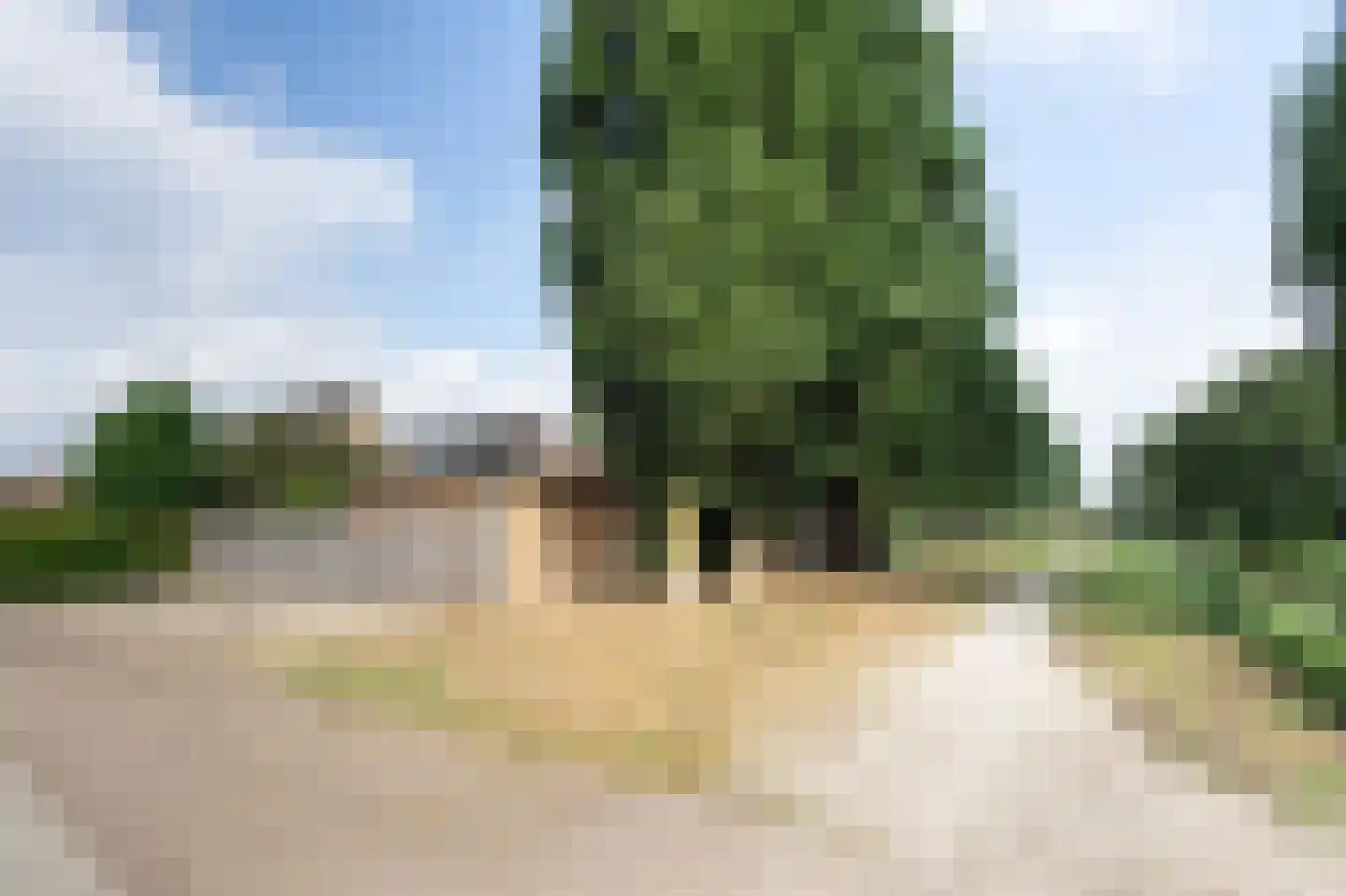 Tuinfluiter 12 IJsselmuiden thumbnail 67