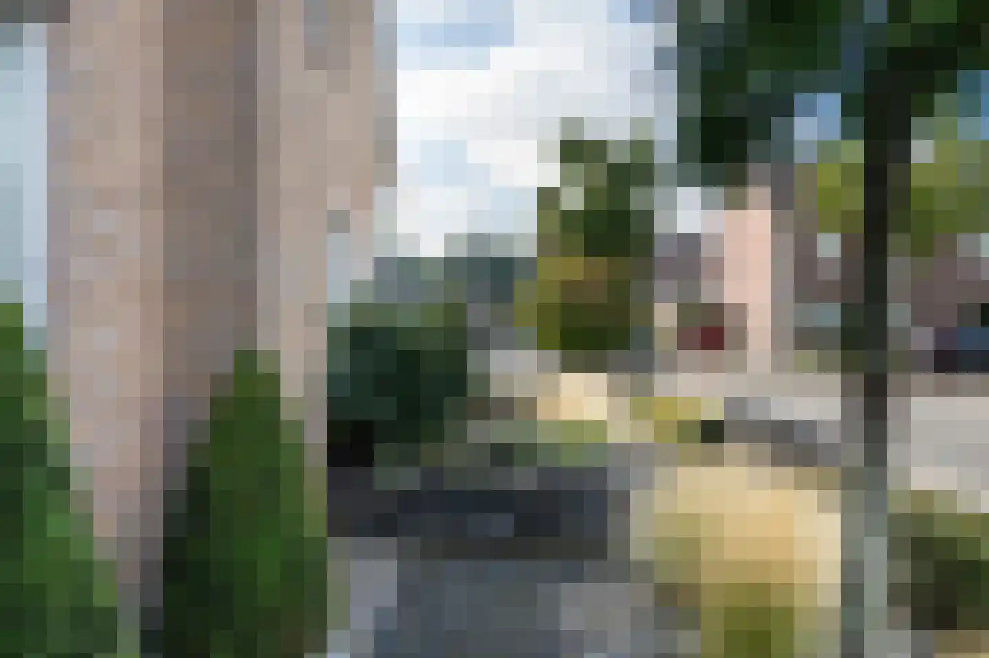 Tuinfluiter 12 IJsselmuiden thumbnail 68
