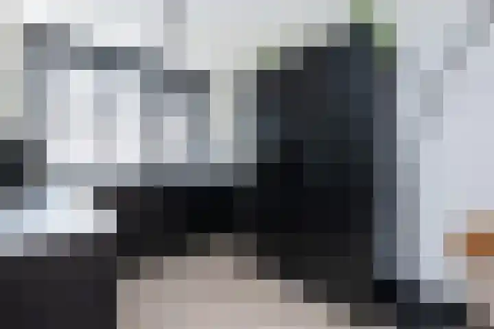 Tuinfluiter 12 Sommelsdijk thumbnail 10