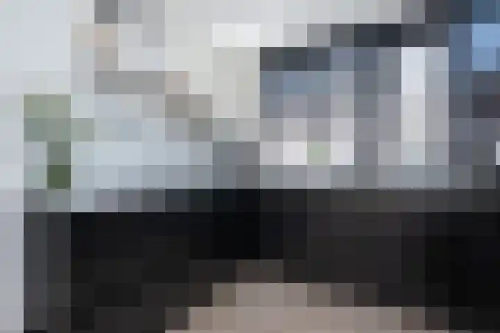 Tuinfluiter 12 Sommelsdijk thumbnail 11