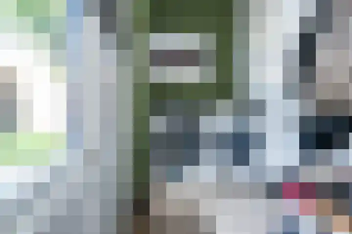 Tuinfluiter 12 Sommelsdijk thumbnail 12