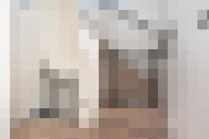 Tuinfluiter 12 Sommelsdijk thumbnail 13