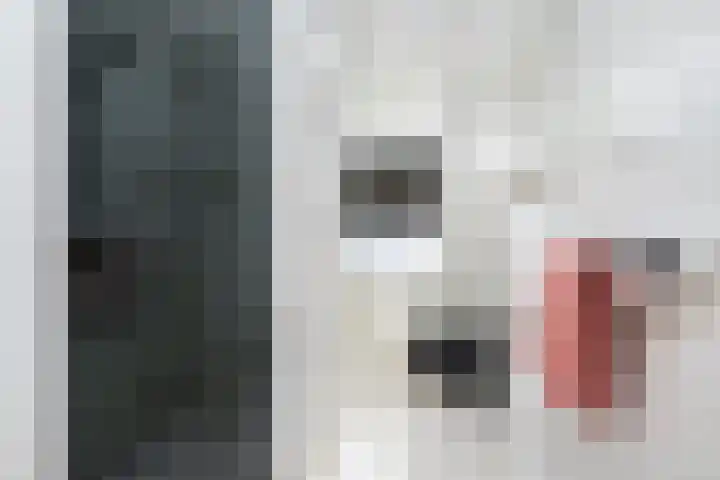 Tuinfluiter 12 Sommelsdijk thumbnail 18