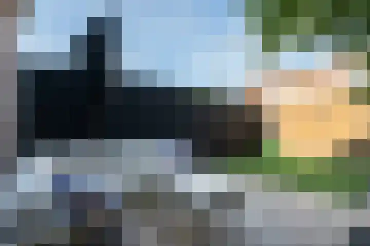 Tuinfluiter 12 Sommelsdijk thumbnail 24