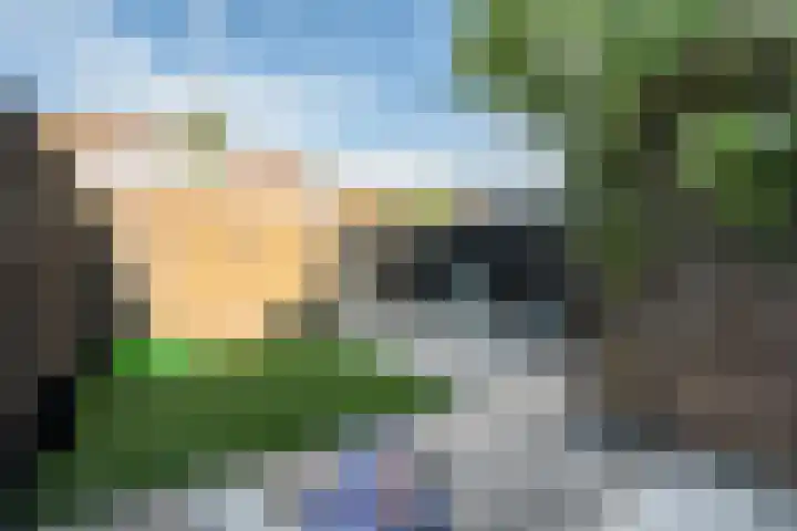 Tuinfluiter 12 Sommelsdijk thumbnail 25