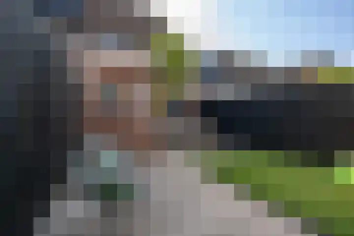 Tuinfluiter 12 Sommelsdijk thumbnail 26