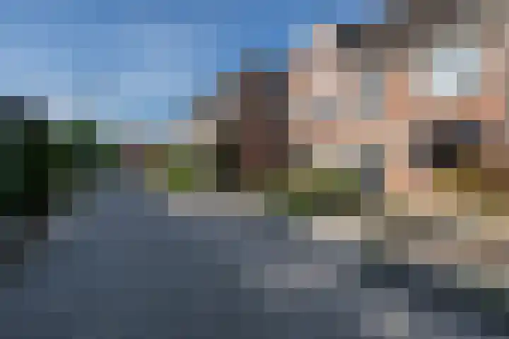 Tuinfluiter 12 Sommelsdijk thumbnail 28