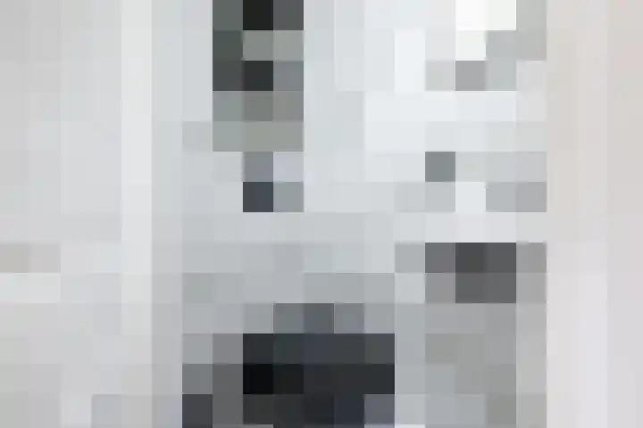 Tuinfluiter 12 Sommelsdijk thumbnail 6