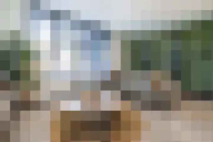 Tuinfluiter 12 Sommelsdijk thumbnail 7