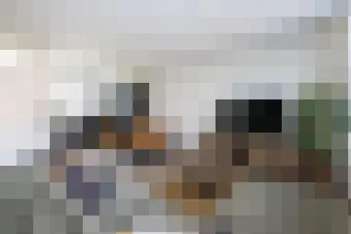 Tuinfluiter 12 Sommelsdijk thumbnail 8