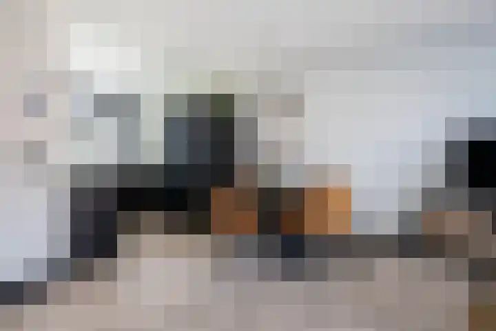 Tuinfluiter 12 Sommelsdijk thumbnail 9