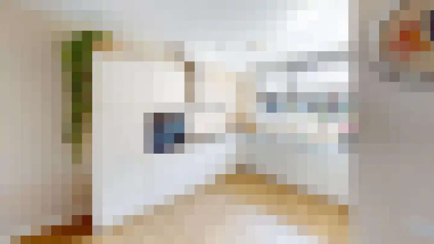 Tuinfluiter 19 Hoogkarspel thumbnail 18