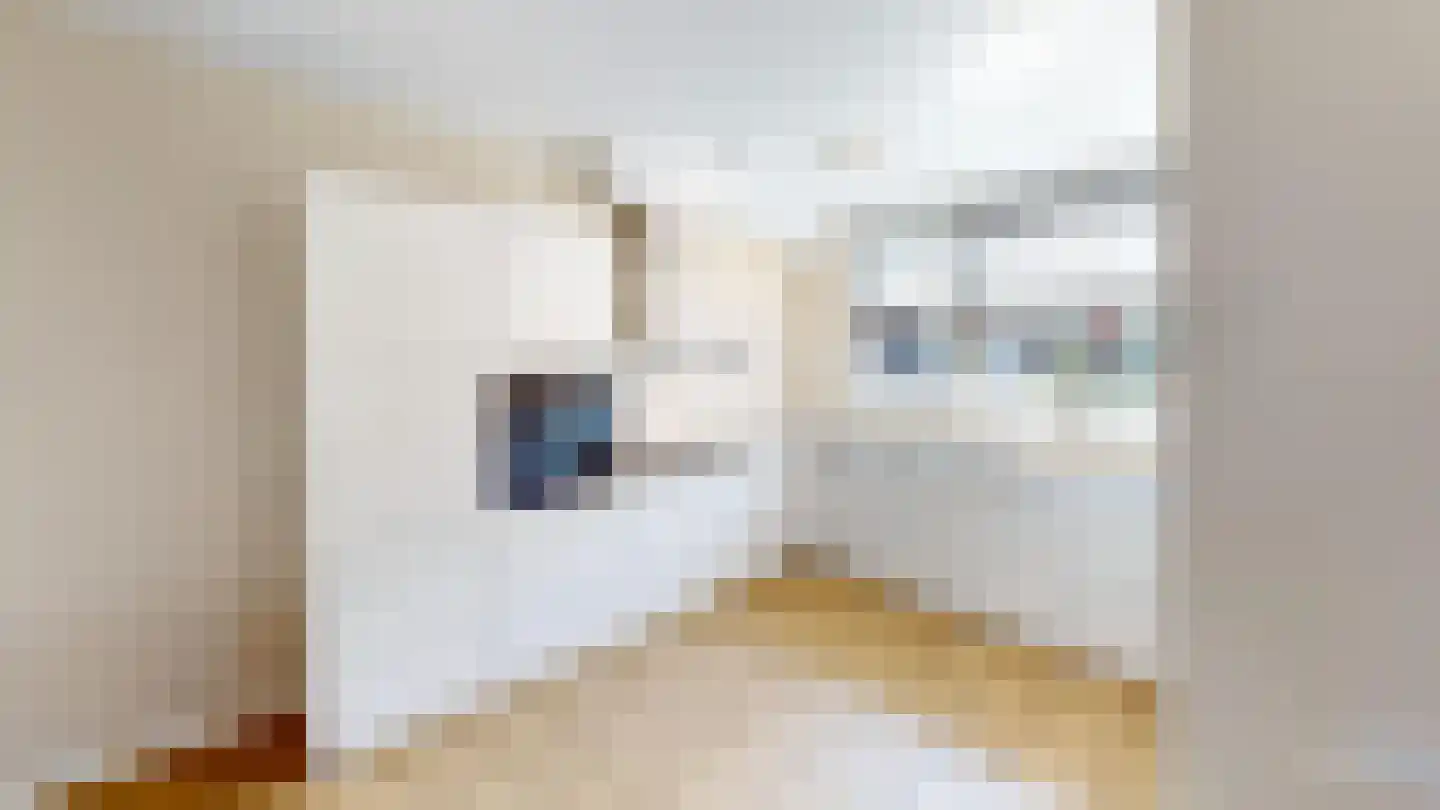 Tuinfluiter 19 Hoogkarspel thumbnail 19