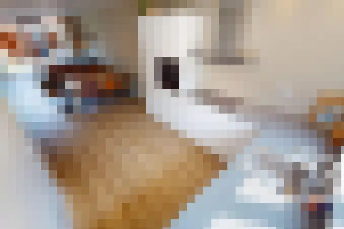 Tuinfluiter 19 Hoogkarspel thumbnail 21