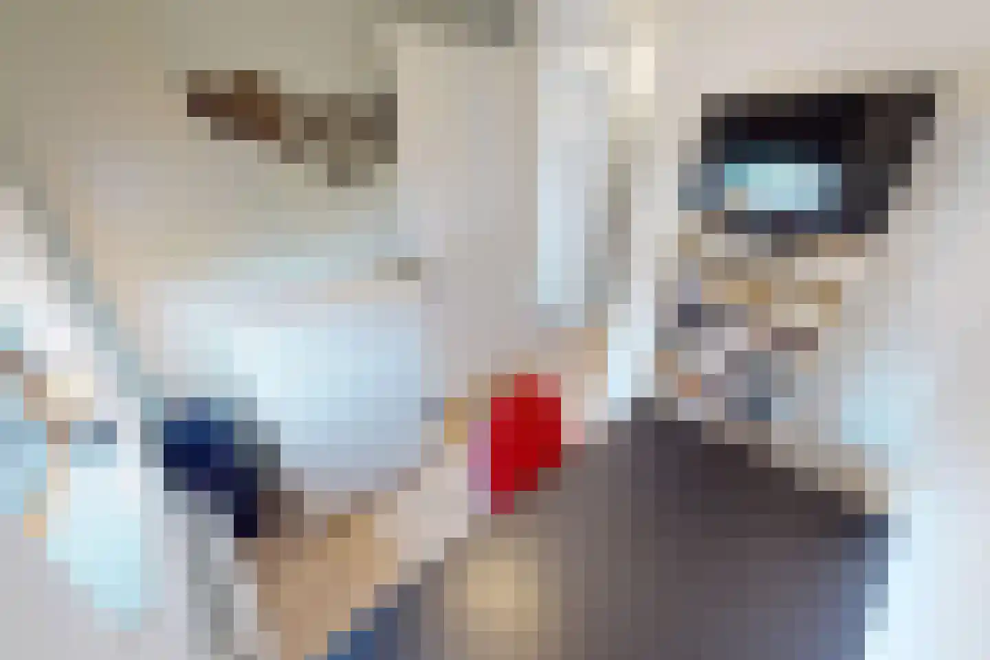 Tuinfluiter 19 Hoogkarspel thumbnail 33